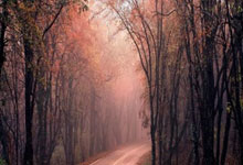 亿万28官网：C罗成世界体育第一偶像,粉丝数远超篮球明星.