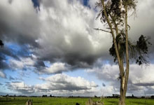 亿万28官网：国足安排针对性技战术训练 世豪或被委以重任.