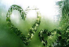 亿万28官网：C罗成世界体育第一偶像,粉丝数远超篮球明星.