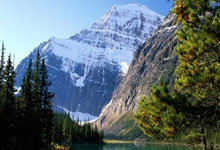 亿万28官网：第九届亚冬会将于2025年2月7日-14日在哈尔滨举办中国新闻网.